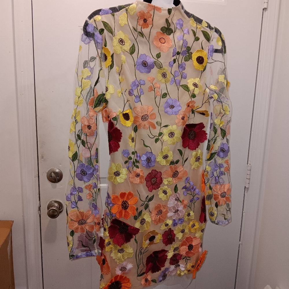 Floral Embroidered Sheer Dress
